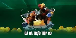 đá gà trực tiếp c3